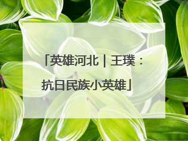 英雄河北｜王璞：抗日民族小英雄