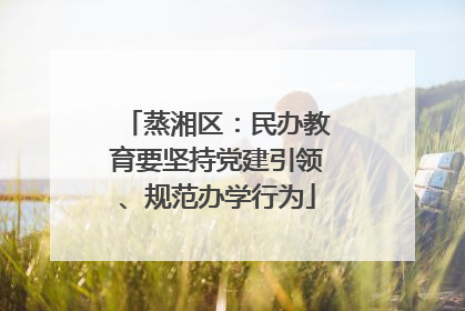 蒸湘区：民办教育要坚持党建引领、规范办学行为