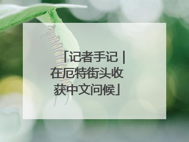 记者手记｜在厄特街头收获中文问候