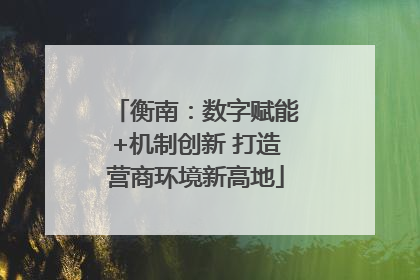 衡南：数字赋能+机制创新 打造营商环境新高地