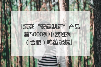 装载“安徽制造”产品 第5000列中欧班列（合肥）鸣笛起航