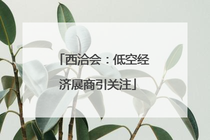 西洽会：低空经济展商引关注