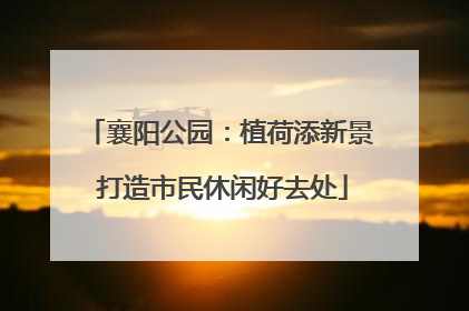 襄阳公园：植荷添新景 打造市民休闲好去处