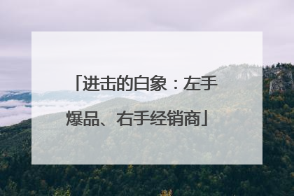 进击的白象：左手爆品、右手经销商