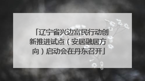 辽宁省兴边富民行动创新推进试点（安居融居方向）启动会在丹东召开