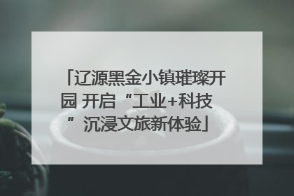 辽源黑金小镇璀璨开园 开启“工业+科技”沉浸文旅新体验