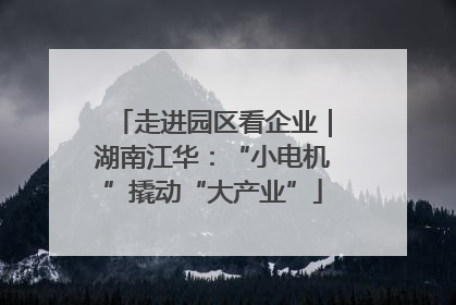 走进园区看企业｜湖南江华：“小电机”撬动“大产业”