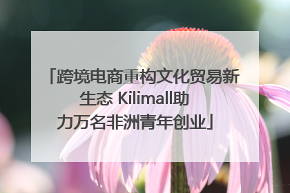 跨境电商重构文化贸易新生态 Kilimall助力万名非洲青年创业
