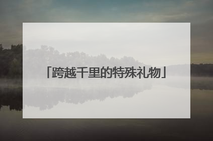 跨越千里的特殊礼物