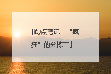 蹲点笔记｜“疯狂”的分拣工