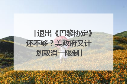 退出《巴黎协定》还不够？美政府又计划取消一限制