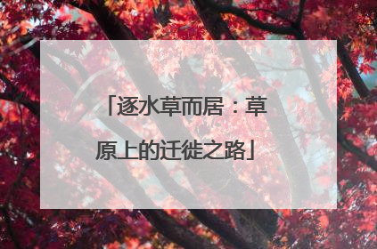逐水草而居：草原上的迁徙之路