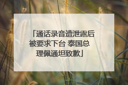 通话录音遭泄露后被要求下台 泰国总理佩通坦致歉