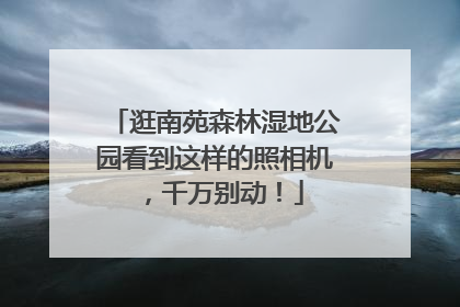 逛南苑森林湿地公园看到这样的照相机，千万别动！