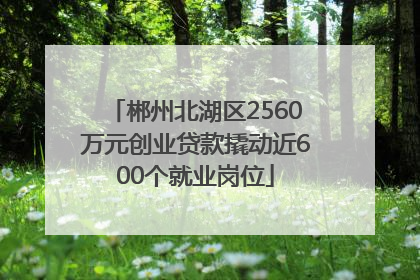 郴州北湖区2560万元创业贷款撬动近600个就业岗位
