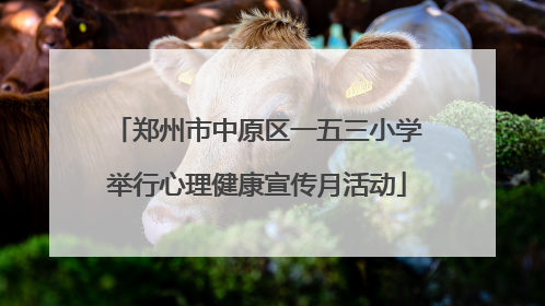 郑州市中原区一五三小学举行心理健康宣传月活动
