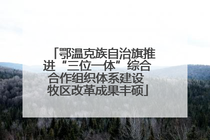 鄂温克族自治旗推进“三位一体”综合合作组织体系建设 牧区改革成果丰硕