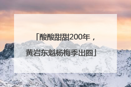 酸酸甜甜200年，黄岩东魁杨梅季出圈
