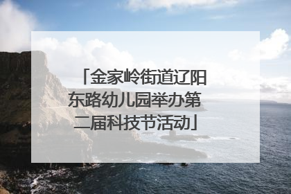 金家岭街道辽阳东路幼儿园举办第二届科技节活动