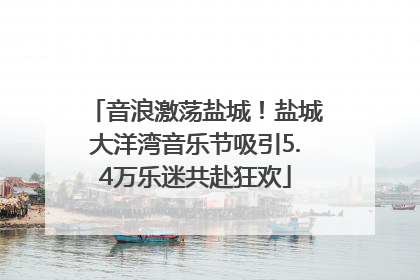 音浪激荡盐城！盐城大洋湾音乐节吸引5.4万乐迷共赴狂欢