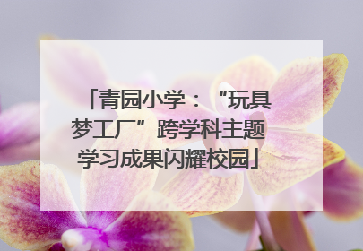 青园小学：“玩具梦工厂”跨学科主题学习成果闪耀校园