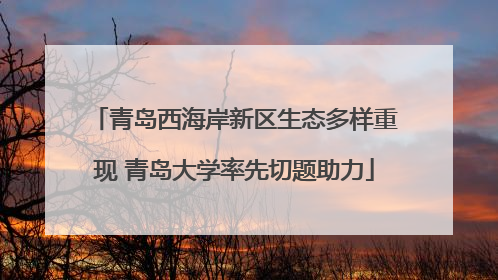 青岛西海岸新区生态多样重现 青岛大学率先切题助力