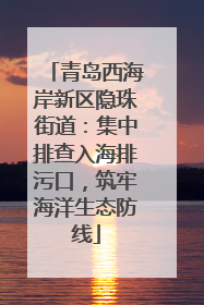 青岛西海岸新区隐珠街道：集中排查入海排污口，筑牢海洋生态防线