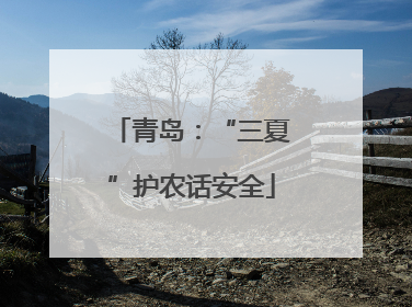 青岛：“三夏”护农话安全