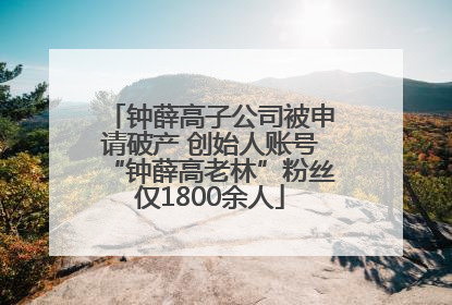钟薛高子公司被申请破产 创始人账号“钟薛高老林”粉丝仅1800余人
