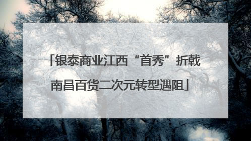 银泰商业江西“首秀”折戟 南昌百货二次元转型遇阻