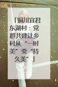铜川宜君东湖村：党群共建让乡村从“一时美”变“持久美”