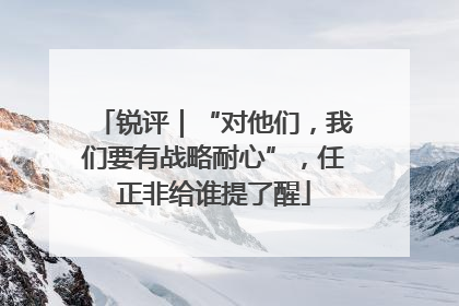 锐评｜“对他们，我们要有战略耐心”，任正非给谁提了醒