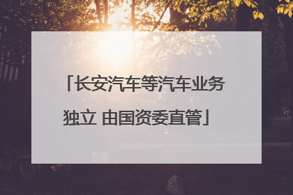 长安汽车等汽车业务独立 由国资委直管