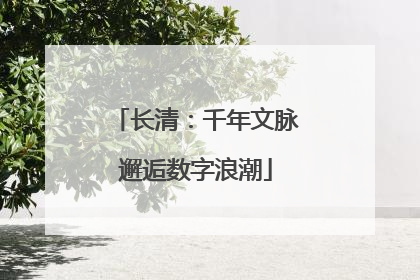 长清：千年文脉邂逅数字浪潮