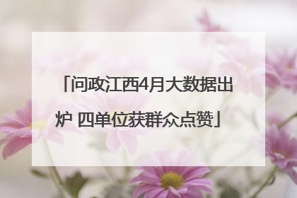 问政江西4月大数据出炉 四单位获群众点赞