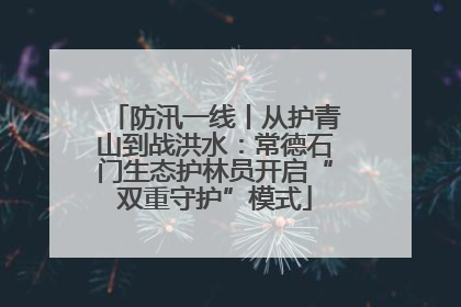 防汛一线丨从护青山到战洪水：常德石门生态护林员开启“双重守护”模式