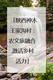 陕西神木王家沟村：农文旅融合 激活乡村活力