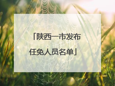 陕西一市发布任免人员名单