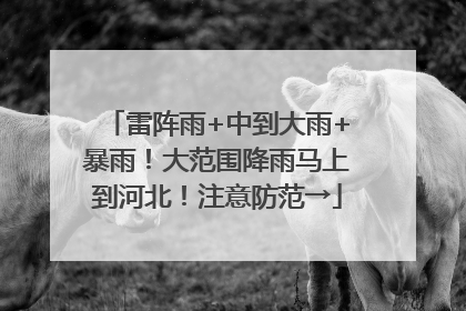 雷阵雨+中到大雨+暴雨！大范围降雨马上到河北！注意防范→