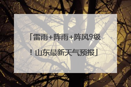 雷雨+阵雨+阵风9级！山东最新天气预报