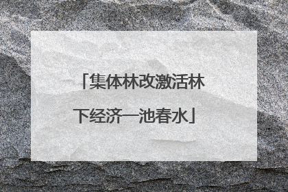集体林改激活林下经济一池春水