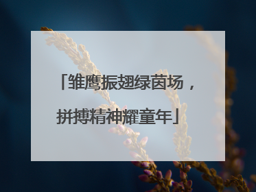 雏鹰振翅绿茵场，拼搏精神耀童年