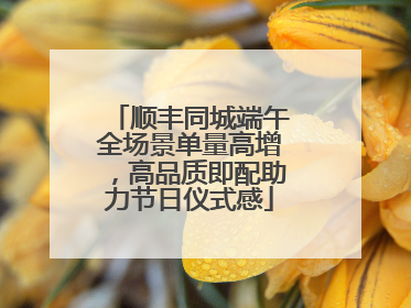 顺丰同城端午全场景单量高增，高品质即配助力节日仪式感