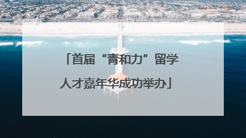 首届“青和力”留学人才嘉年华成功举办