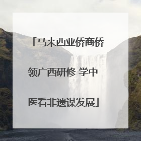 马来西亚侨商侨领广西研修 学中医看非遗谋发展