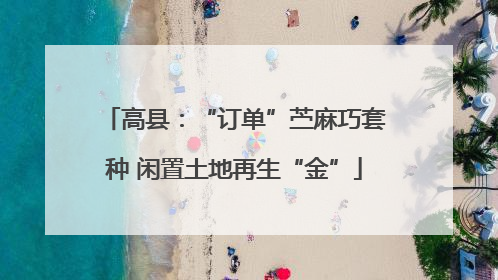高县：“订单”苎麻巧套种 闲置土地再生“金”