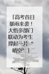 高考首日暴雨来袭！大悟多部门联动为考生撑起一片“晴空”