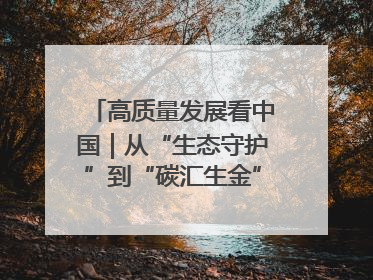 高质量发展看中国｜从“生态守护”到“碳汇生金”——中国石油大庆油田绿色蝶变