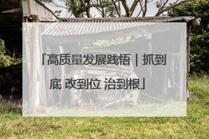 高质量发展践悟｜抓到底 改到位 治到根
