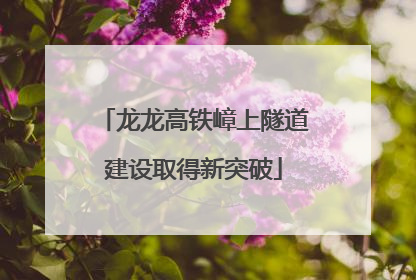 龙龙高铁嶂上隧道建设取得新突破